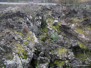 otta Pisciteddu-03-03-2013 12-13-33